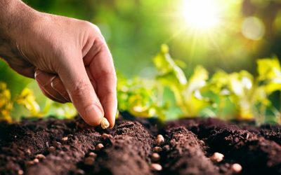 Get Premium Quality Mulch and Expert Service from Mulch Companies Near Oconomowoc, WI