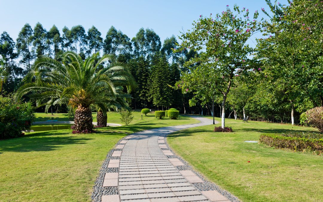 Transform Your Outdoor Space with Landscapers In Hillsborough, NJ for Lasting Curb Appeal